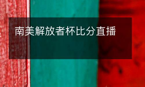 南美解放者杯比分直播