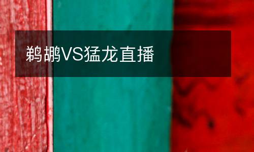 鵜鶘VS猛龍直播