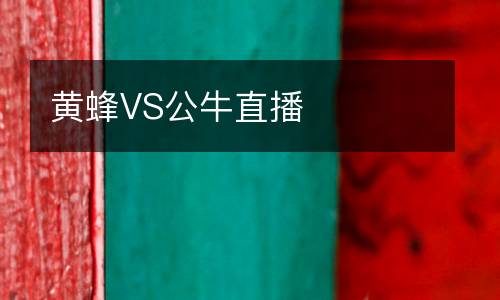 黃蜂VS公牛直播
