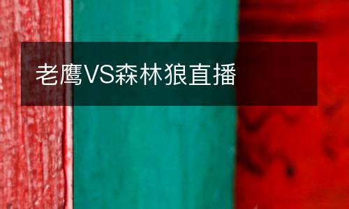 老鷹VS森林狼直播