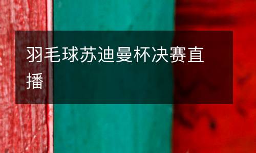 羽毛球蘇迪曼杯決賽直播