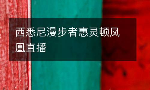 西悉尼漫步者惠靈頓鳳凰直播